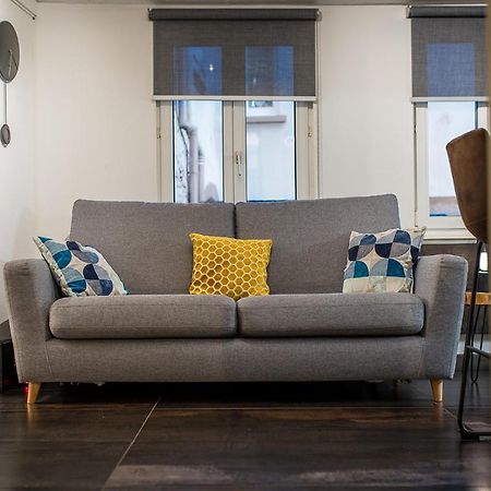 Appart 4 Pers Design Et Cosy Avec Jardin Au Coeur De Sélestat Dış mekan fotoğraf