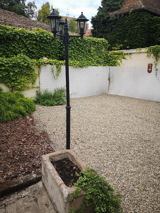 Appart 4 Pers Design Et Cosy Avec Jardin Au Coeur De Sélestat Dış mekan fotoğraf