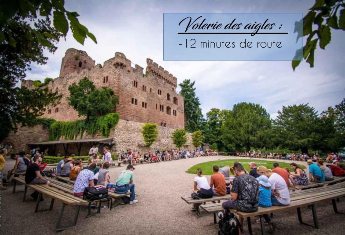 Appart 4 Pers Design Et Cosy Avec Jardin Au Coeur De Sélestat Dış mekan fotoğraf